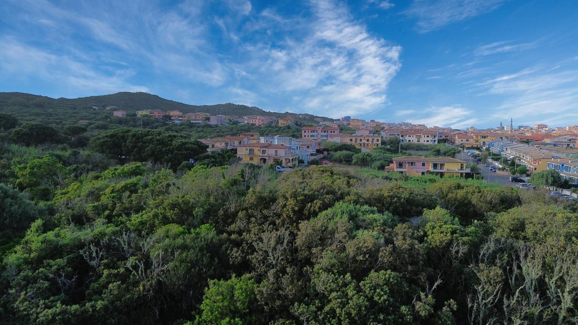 Case Vacanze A Santa Teresa Di Gallura Exteriör bild